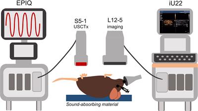 Image-Guided Treatment of Primary Liver Cancer in Mice Leads to Vascular Disruption and Increased Drug Penetration